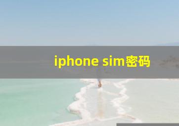 iphone sim密码